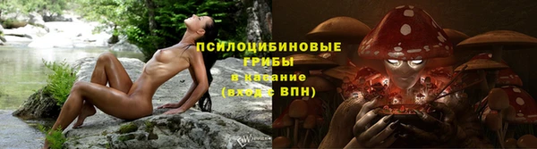 прущая мука Богородск